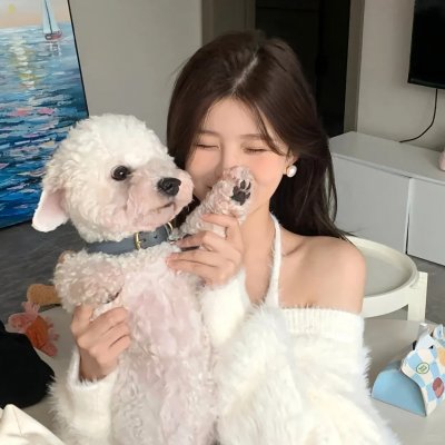 爱的着陆 第二季